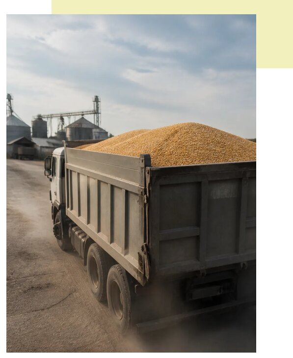 Перевозка сельхозпродукции навалом в Мура по цене от 3063 р. | Агросервис-Мум